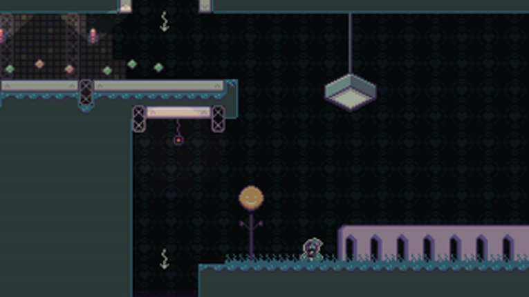 d r e a m f l o w e r Image