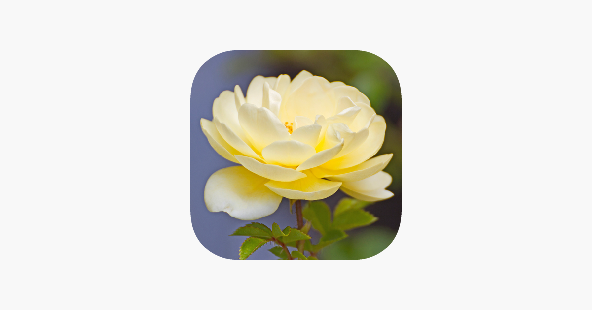 Games like Flower Jigsaw Puzzle HD - New Jigsaw Games for Kids and Adults