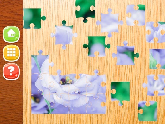 Flower Jigsaw Puzzle HD - New Jigsaw Games for Kids and Adults screenshot