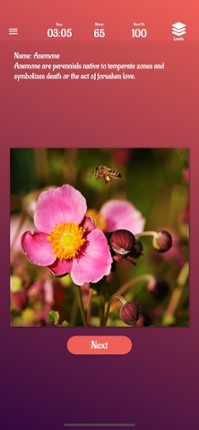 Flowers Slide Puzzle Image