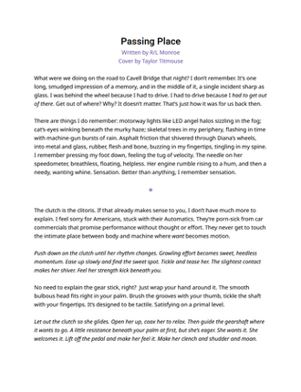 Passing Place (18+) screenshot