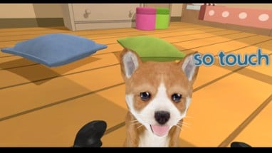 Puppy Doge VR Image