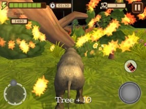 Rhino Simulator Image