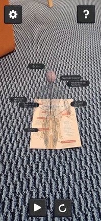 ARNerves screenshot