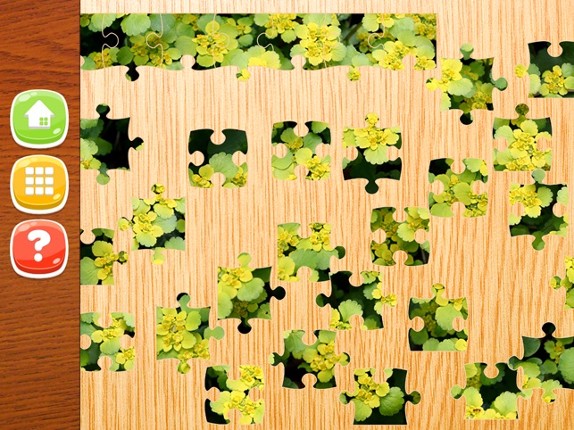 Flower Jigsaw Puzzle HD - New Jigsaw Games for Kids and Adults screenshot