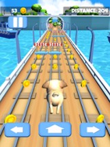 Fun puppy run Image