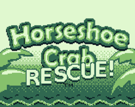 Horseshoe Crab Rescue! 2D Image