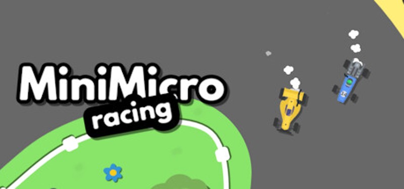 Mini Micro Racing Image