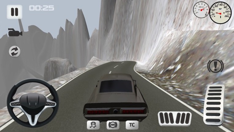 Offroad Car Simulator screenshot