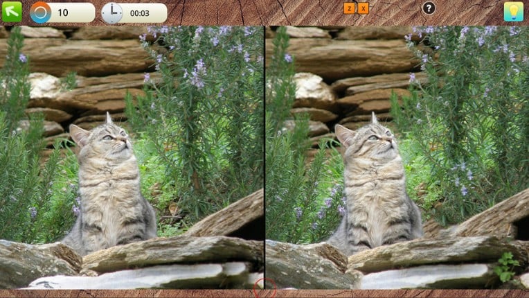 Peaceful Gardens 2: Cute Cats screenshot