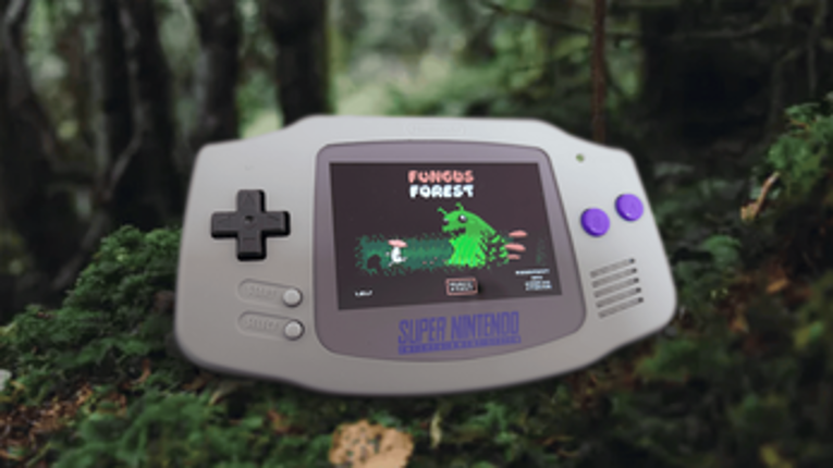 Fungus Forest screenshot