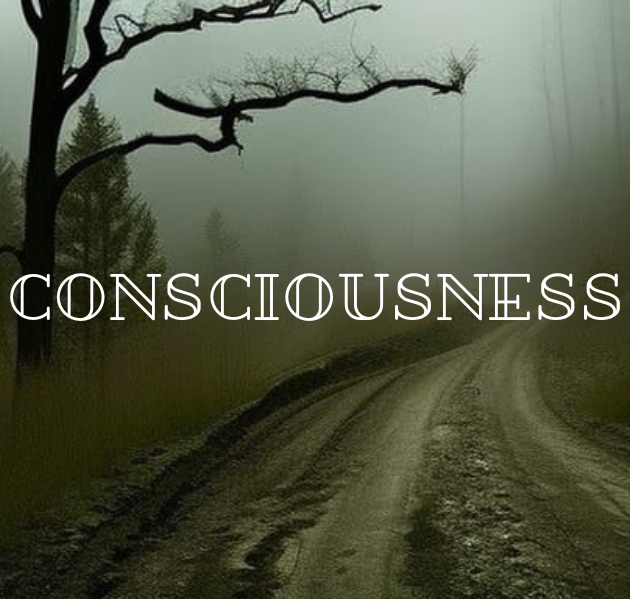 Games like Consciousness