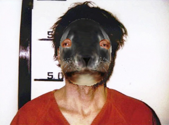 Seal vs. S.E.A.L Image