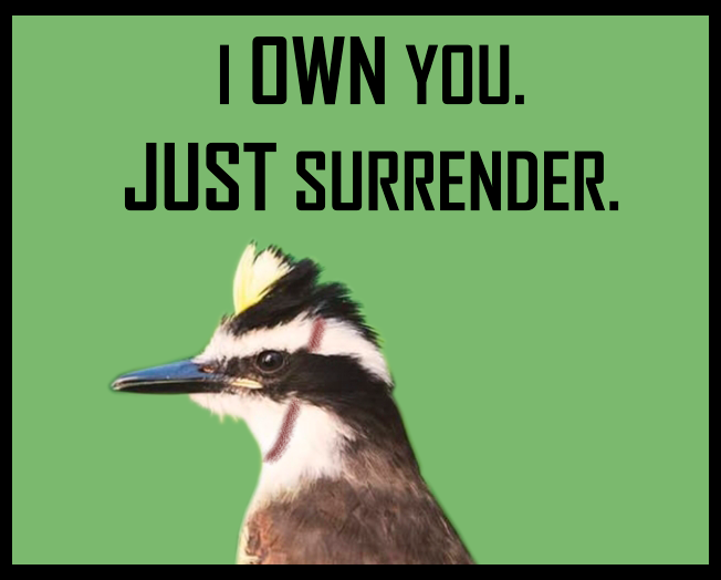 Games like ZAZU INMORTAL