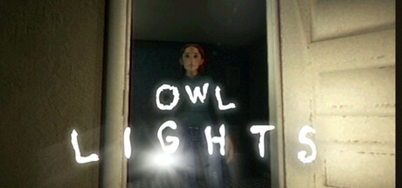 Owl Lights Image