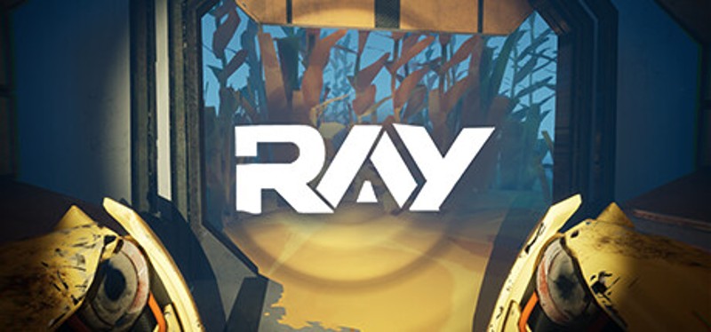 Ray Image