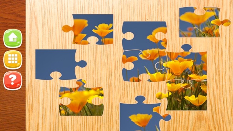Flower Jigsaw Puzzle HD - New Jigsaw Games for Kids and Adults screenshot