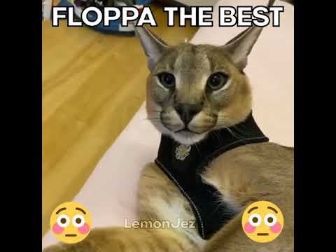Games like Lightning Floppa Attack