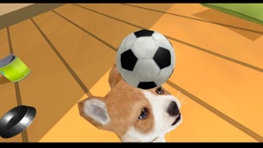 Puppy Doge VR Image