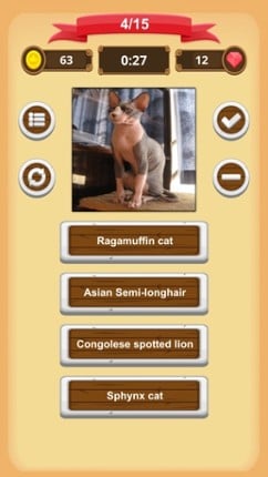 Cats - Quiz screenshot