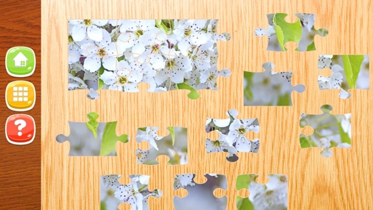 Flower Jigsaw Puzzle HD - New Jigsaw Games for Kids and Adults Image
