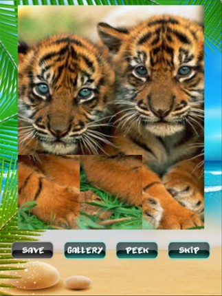 Funny Puzzles screenshot