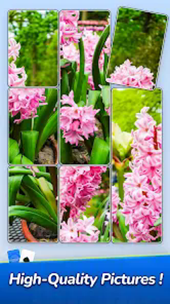 Jigsawcard Solitaire Puzzle Image