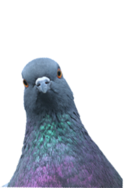 Games like יונים חדר ישיבות - המשחק