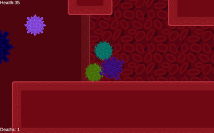 Phagocytosis Image