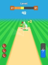 Real Cricket Bowling Practice Image