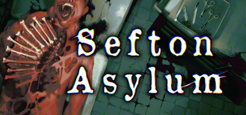 Sefton Asylum Image
