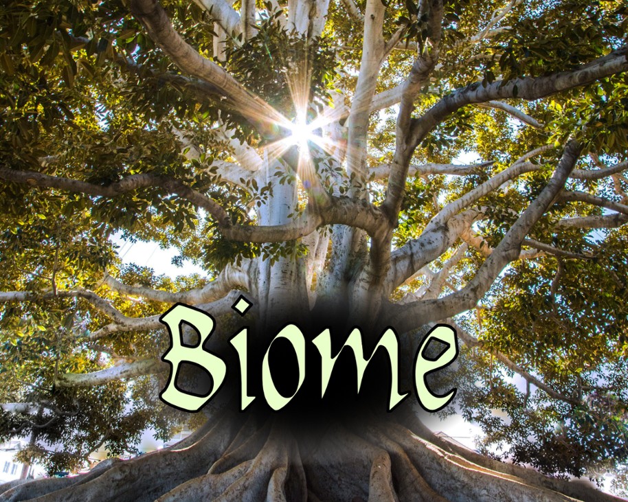 Games like Biome