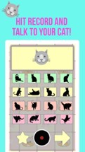 Crazy Cat Translator &amp; Sounds Image