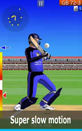 Smashing Cricket screenshot