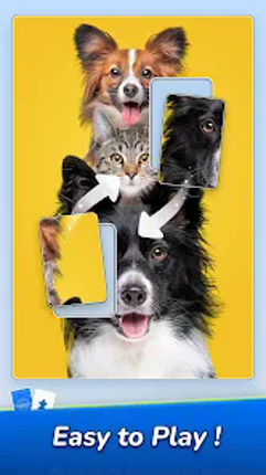 Jigsawcard Solitaire Puzzle Image