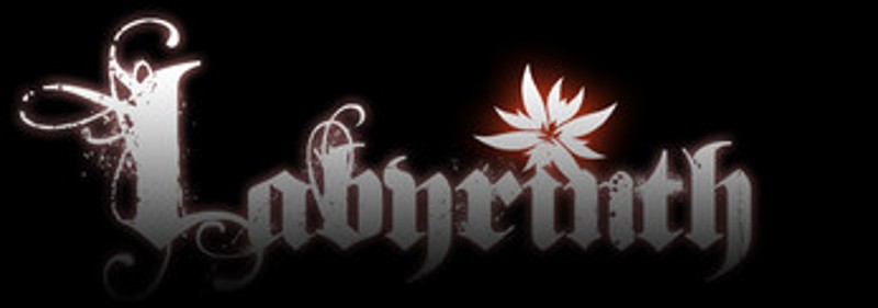 Labyrinth Image