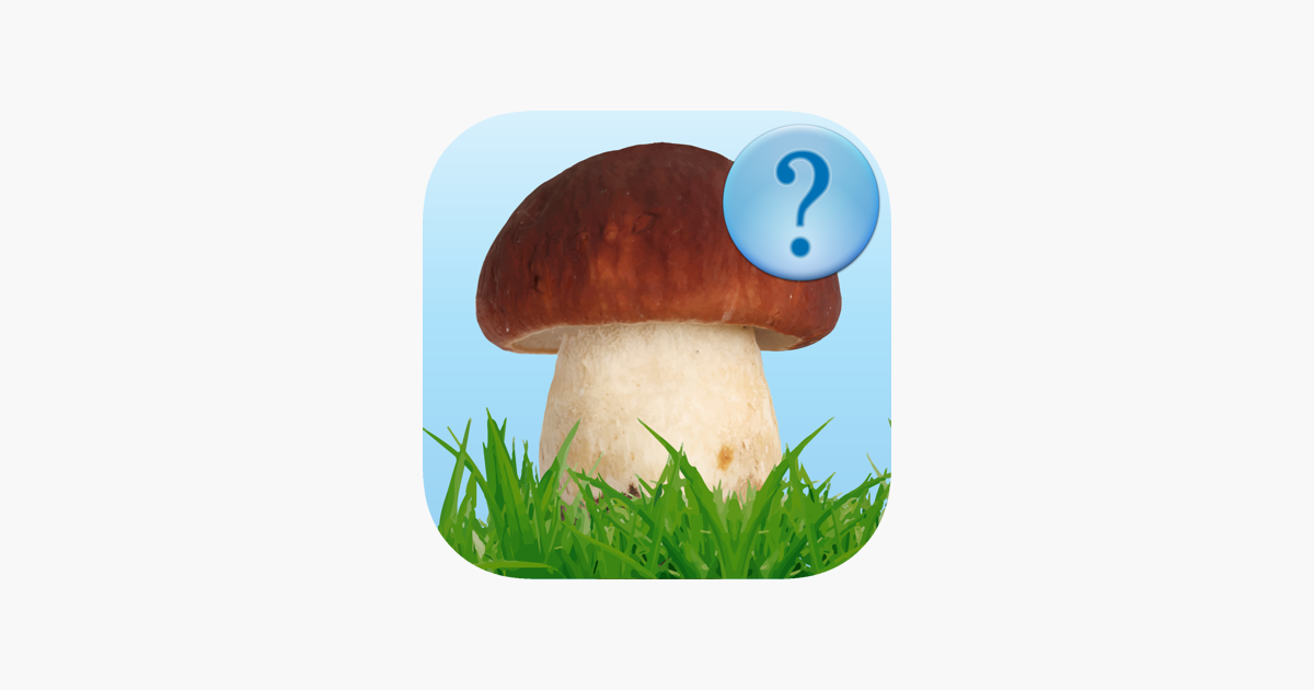 Games like Guess Mushroom