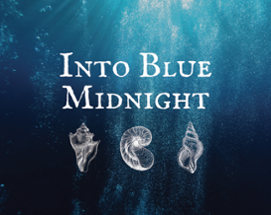 Into Blue Midnight Image