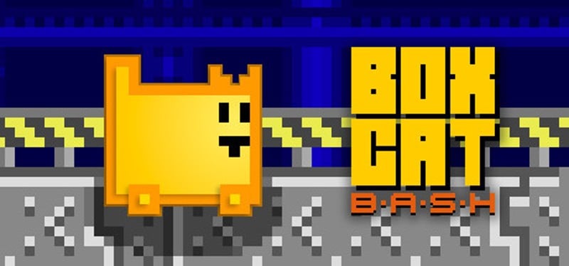 Box Cat Bash Image