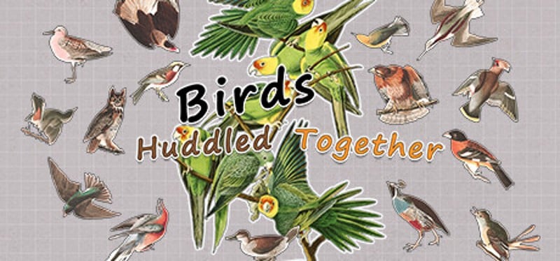 Birds Huddled Together Game Cover