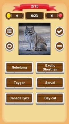 Cats - Quiz screenshot