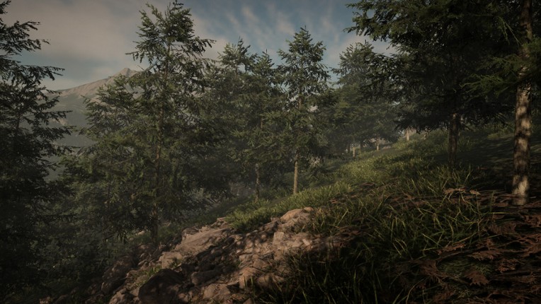 Determinant screenshot