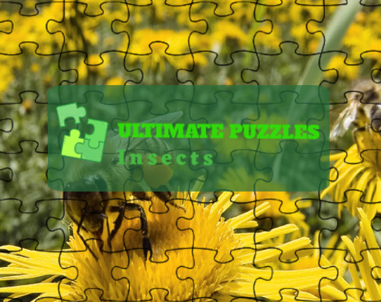 Ultimate Puzzles Insects Game Cover