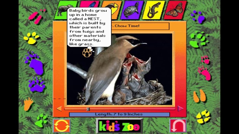 Kid's Zoo: A Baby Animal Adventure screenshot