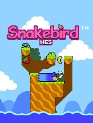 SnakeBird NES Image