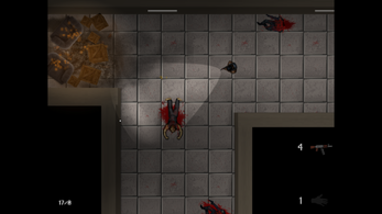 The Witness Image