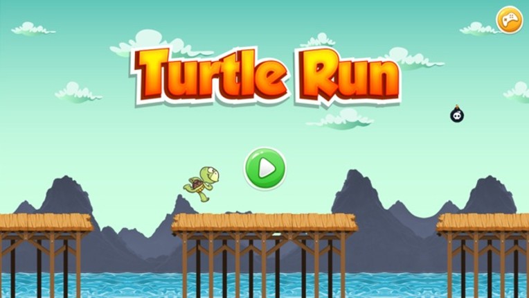 Turtle Run and Jump - Top Running Free Game screenshot