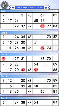 Bingo Cards Companion screenshot