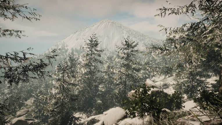 Determinant screenshot