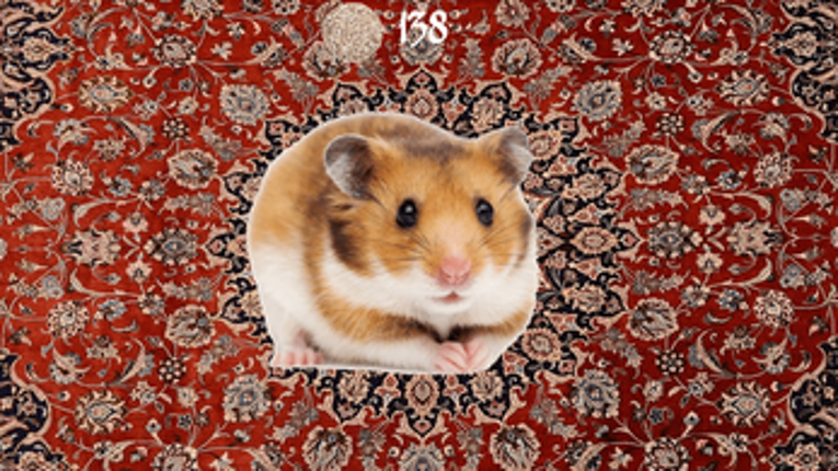 Hamster Image
